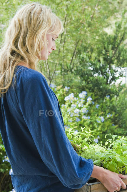Femme coûteuse portant caisse de plantes dans le jardin — Photo de stock