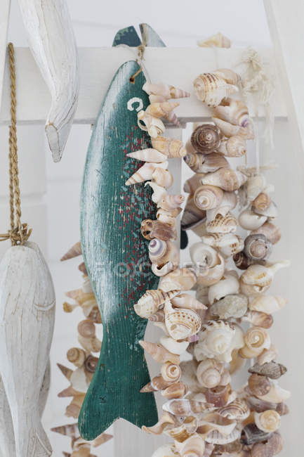 Close-up of conch shells, selective focus — Stock Photo