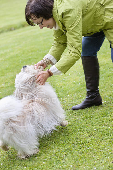 Woman playing with cute fur dog on green lawn — Stock Photo