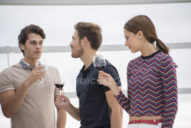 Amis dégustant du vin rouge à la fête — Photo de stock