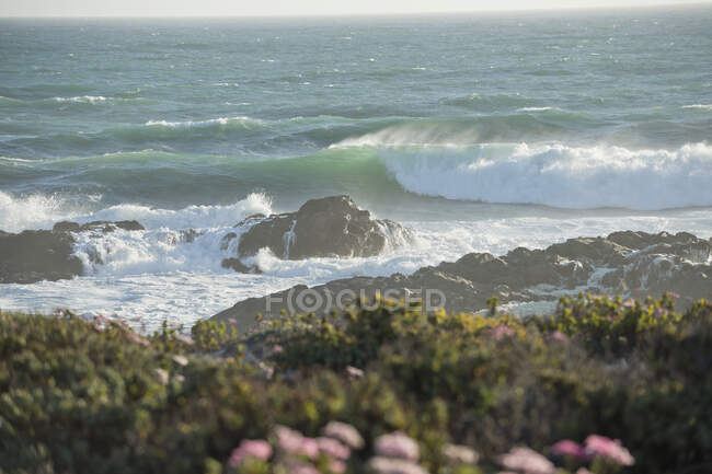 Хвилі в морі — стокове фото