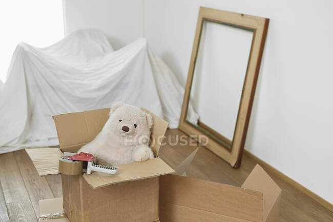 Медвежонок в картонной коробке — стоковое фото