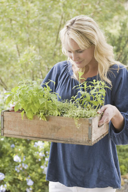 Young woman carrying crate of plants in garden — Stock Photo