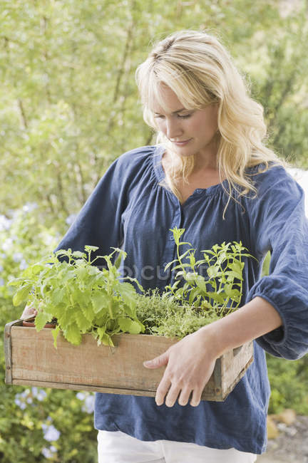 Giovane donna che trasporta cassa di piante in giardino — Foto stock