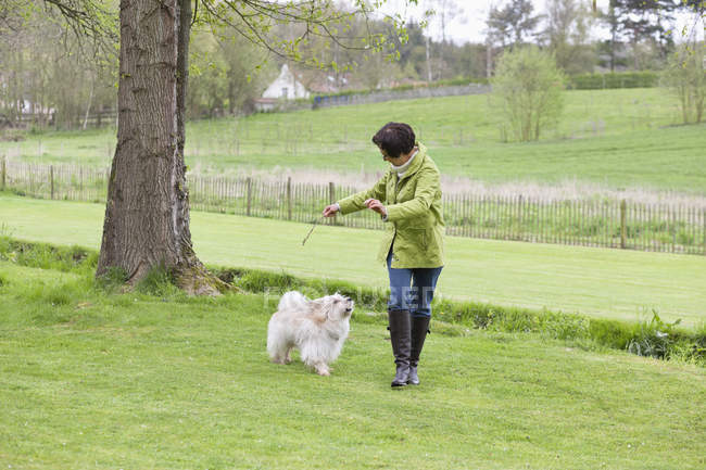 Woman playing with dog on green lawn in countryside — Stock Photo
