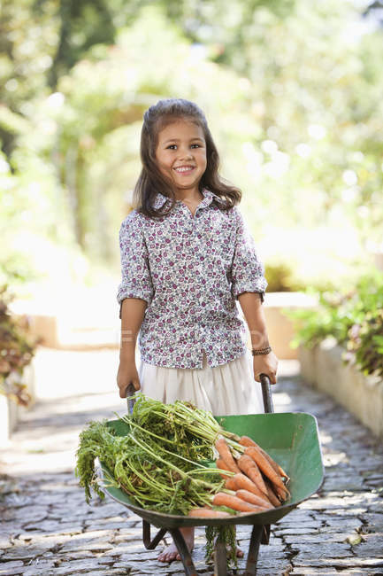 Cute little girl standing with wheelbarrow with carrots on path in countryside — Stock Photo