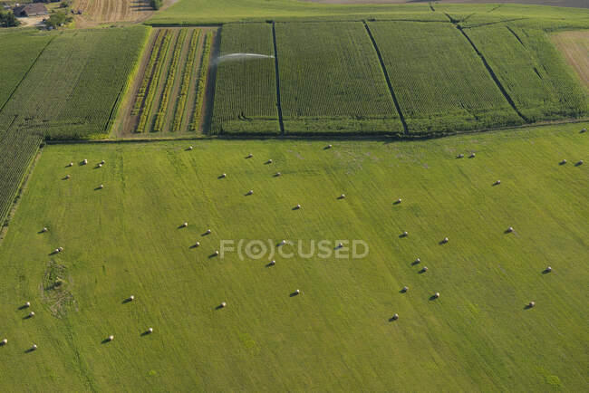 Frankreich, Dordogne, Luftaufnahme eines grünen Feldes und Heuhaufen im Vordergrund, ein Maisfeld im Hintergrund — Stockfoto