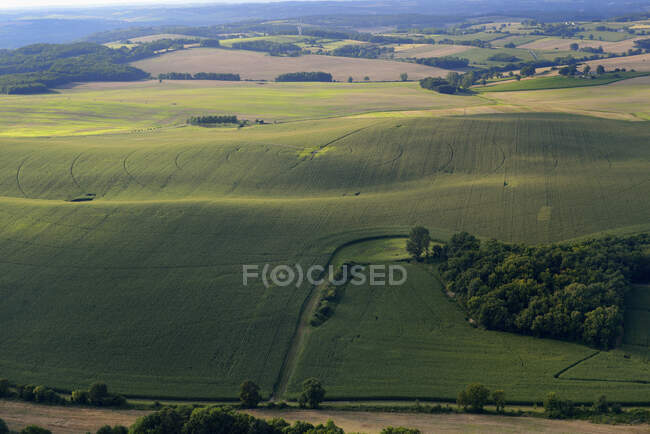 França, Dordogne, vista aérea de um campo de milho — Fotografia de Stock