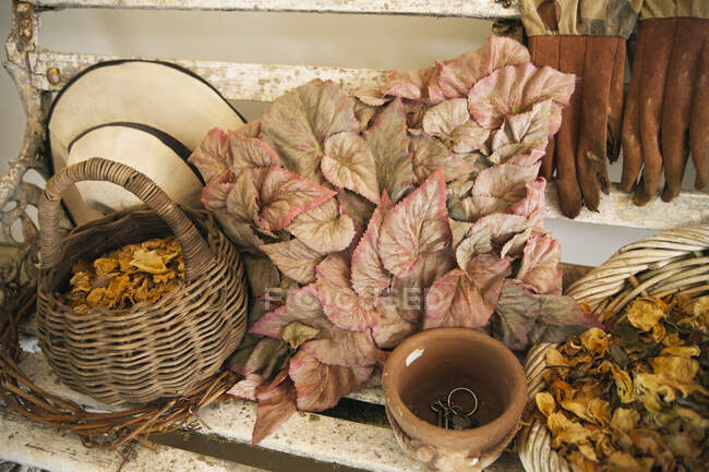 Hojas con flores y cesta en un banco — Stock Photo