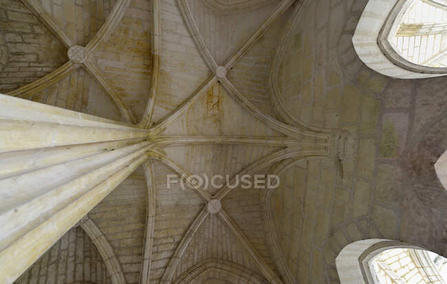 France, Dordogne, the ceiling of the chapter house of the abbey of Brantome — Stock Photo