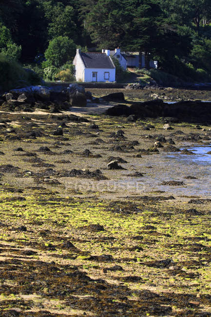House on lake coast, France, Brittany. Ile aux Moines. Le Lerio. — Stock Photo