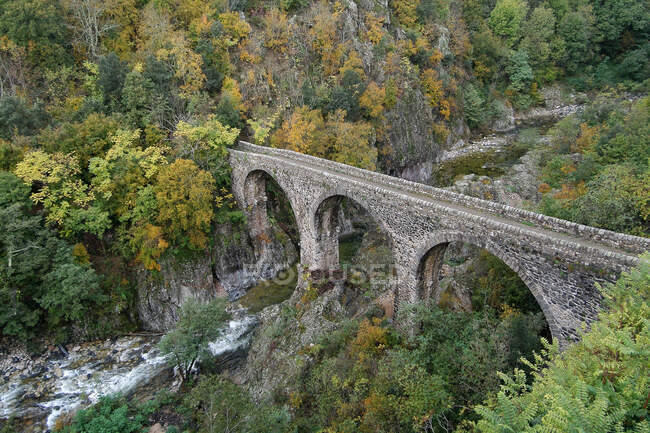 Francia, Ardeche, Valle di Lignon, flussi basaltici, ponte sul fiume Lignon. — Foto stock