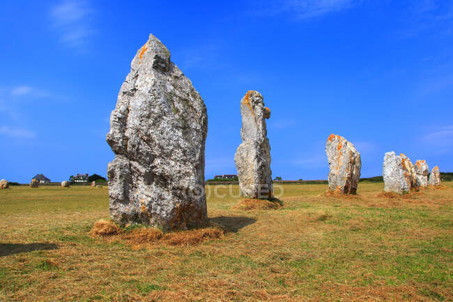 Francia, Bretaña, Península de Crozon. Camaret sur Mer. Línea de piedras de pie (Lagatjar). - foto de stock