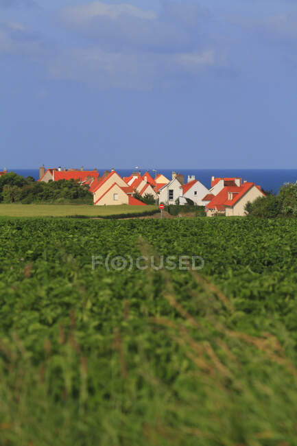 France, Nord de la France, Côte d'Opale, Cap Gris Nez, Le cran aux oeufs, maisons — Photo de stock