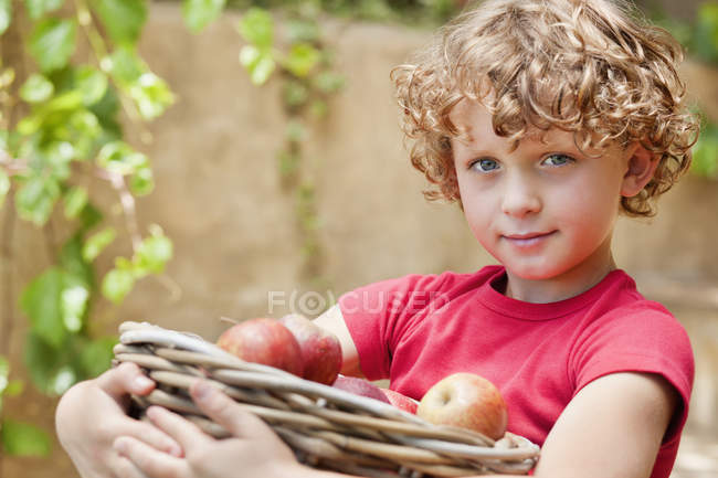 Portrait of little boy holding basket of fresh picked apples outdoors — Stock Photo