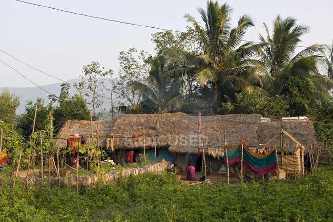 India, Orissa, cerca de Mahendragiri, casa rural - foto de stock