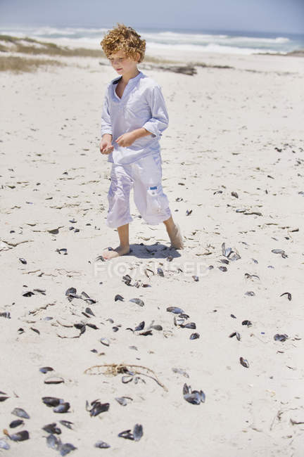 Niño recogiendo conchas en la playa de arena - foto de stock