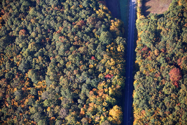 Francia, Centro de Francia, carretera en el bosque en otoño - foto de stock