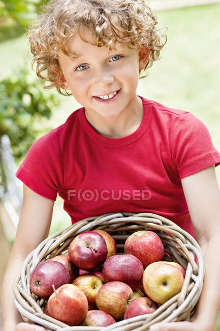 Портрет маленького мальчика, держащего корзину свежих собранных яблок на открытом воздухе — стоковое фото