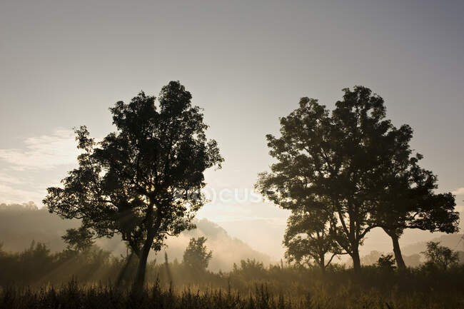 India, Chhattisgarh, Paesaggio vicino a Bhoramdeo — Foto stock
