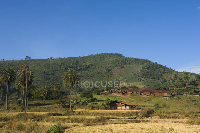India, Orissa, distrito de Bhawanipatna, grupo étnico Dongria Kondh, aldea - foto de stock