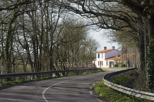 Francia, noroeste de Francia, Saint-Marc-de-Coutais, curva en la carretera departamental D264 - foto de stock