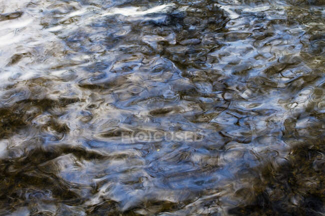 France, Limousin, Lac de Vassiviere — Photo de stock