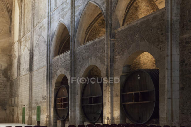 Francia, sur de Francia, Vileveyrac, abadía cisterciense de Santa María de Valmagne, siglo XIII, estilo gótico, nave convertida en bodega después de la Revolución - foto de stock