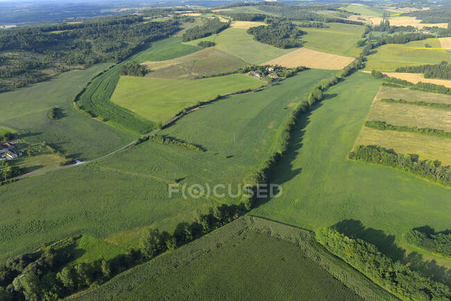 Francia, Dordogna, veduta aerea di prati e campi di mais — Foto stock