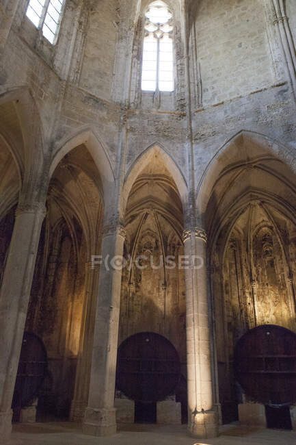 Франція, Південна Франція, Вілевейрак, цистерціанське абатство Святої Марії Валмагнського, 13 століття, готичний стиль, нава перетворилася на винний склад після революції. — стокове фото