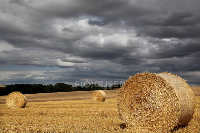 Francia, Campos de trigo cosechado y cielo nublado - foto de stock