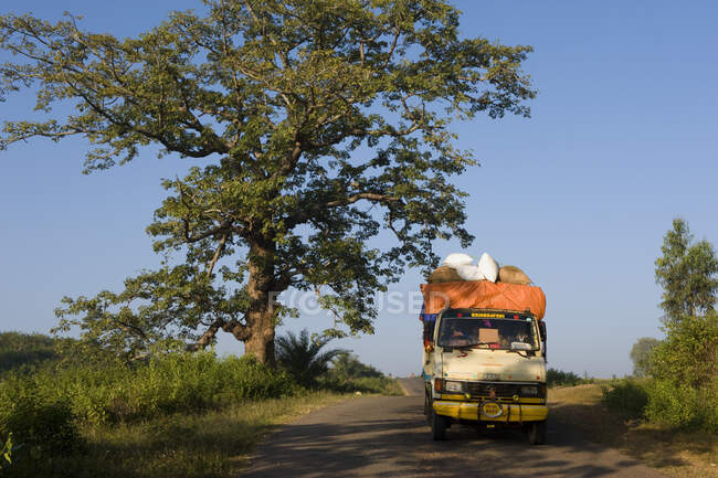 India, Orissa, distrito de Koraput, transporte de mercancías y pasajeros - foto de stock