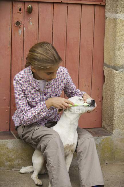 Giovane ragazza lavare i denti del suo cane — Foto stock