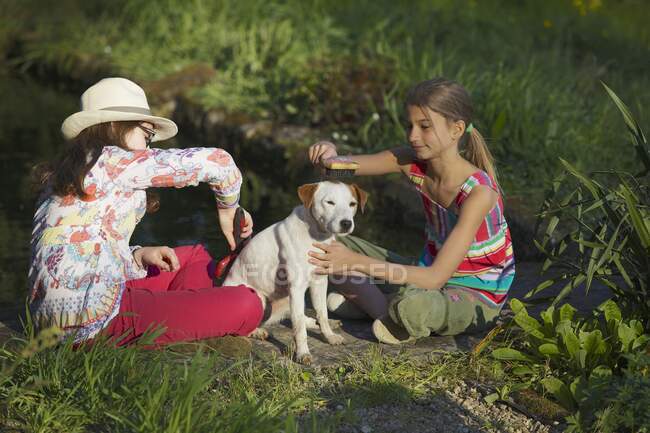 Due giovani ragazze spazzolando il loro cane — Foto stock
