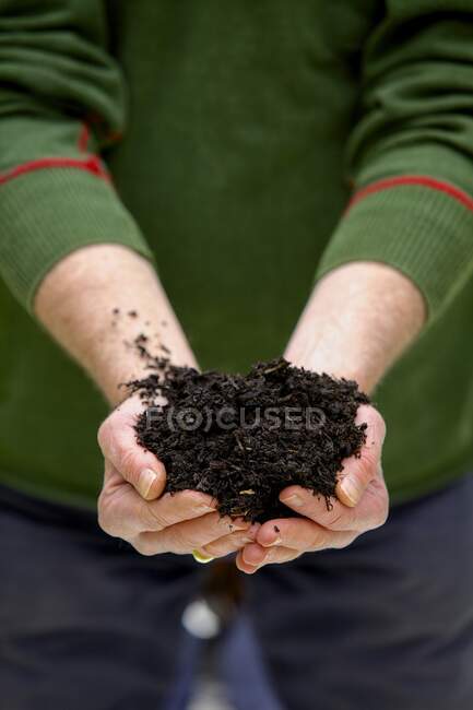 Plant food in man's hands — Stock Photo