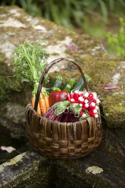 Close up of Basket of vegetables — Stock Photo