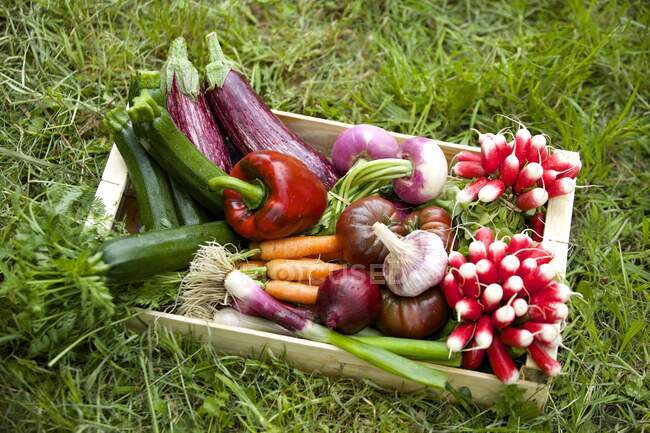 Legumes em uma caixa de campo — Fotografia de Stock