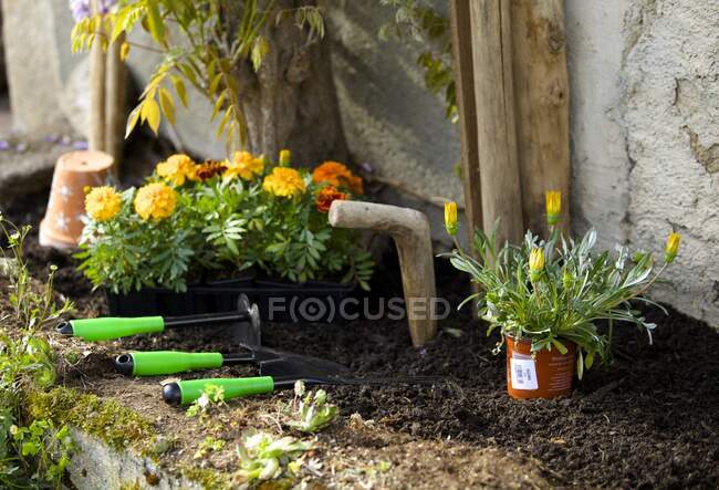 Herramientas de jardín en el suelo - foto de stock