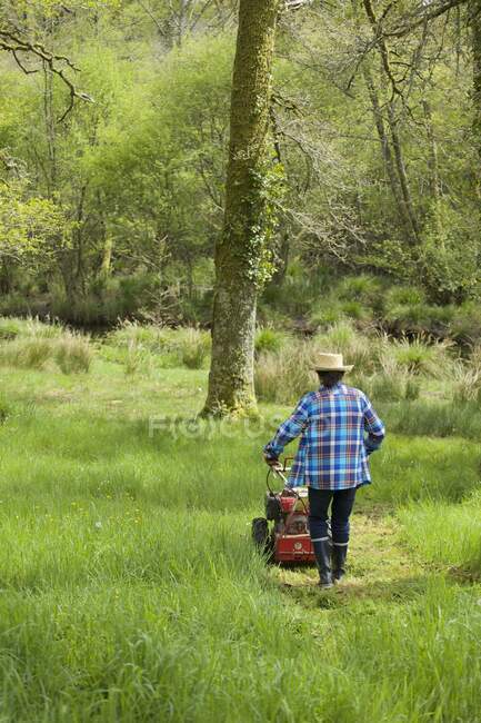Hombre segando la hierba - foto de stock