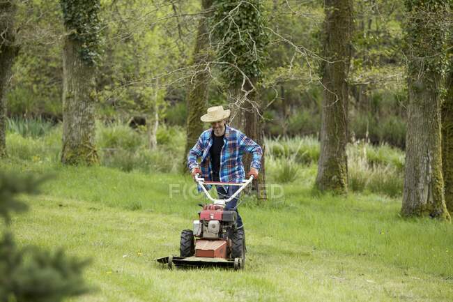 Man mowing the grass — Stock Photo