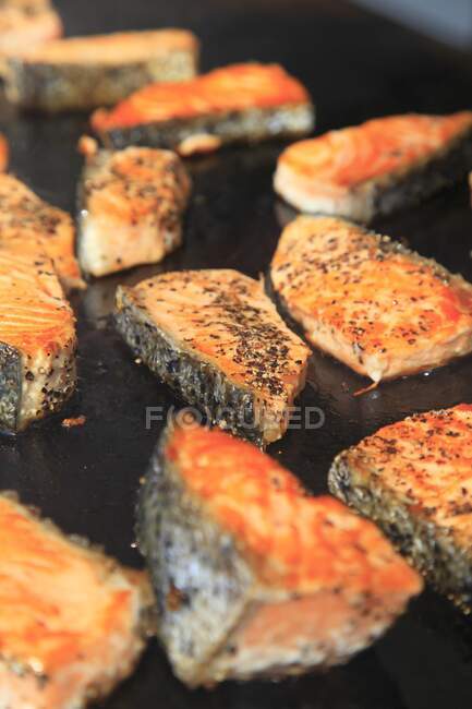 Gros plan de saumon grillé — Photo de stock