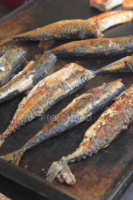 Close up of  Grilled Mackerels — Stock Photo