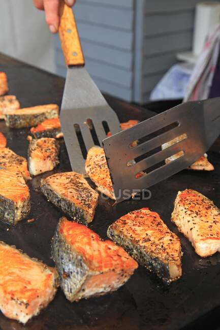 Close up de salmão grelhado — Fotografia de Stock