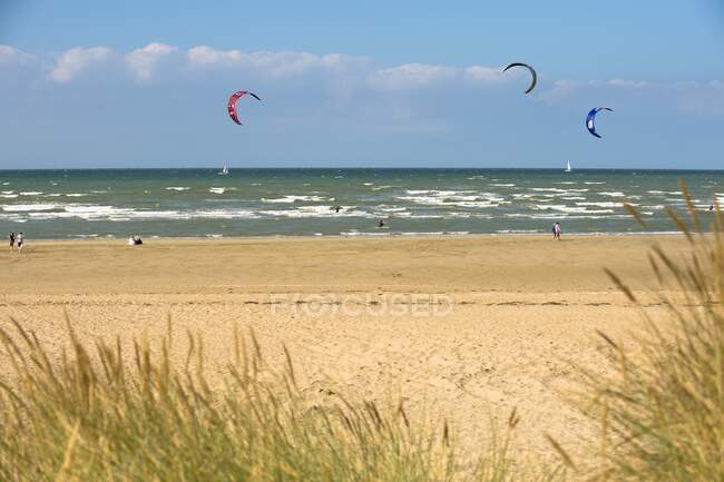 Francia, Normandía, gente disfrutando de una tarde ventosa en la playa, kitesurf - foto de stock