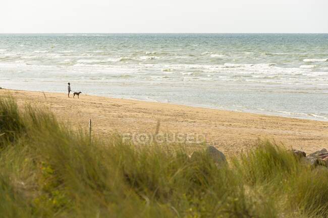 Francia, Normandía, Hombre sosteniendo a su perro mirando al mar en la playa de Cabourg - foto de stock