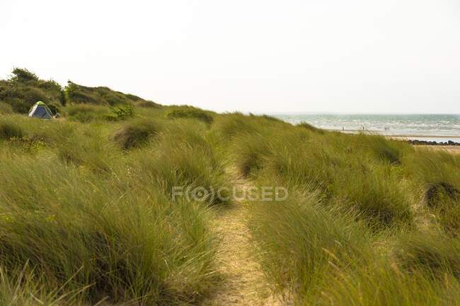 Frankreich, Normandie, kleines Zelt in den Dünen am Meer — Stockfoto