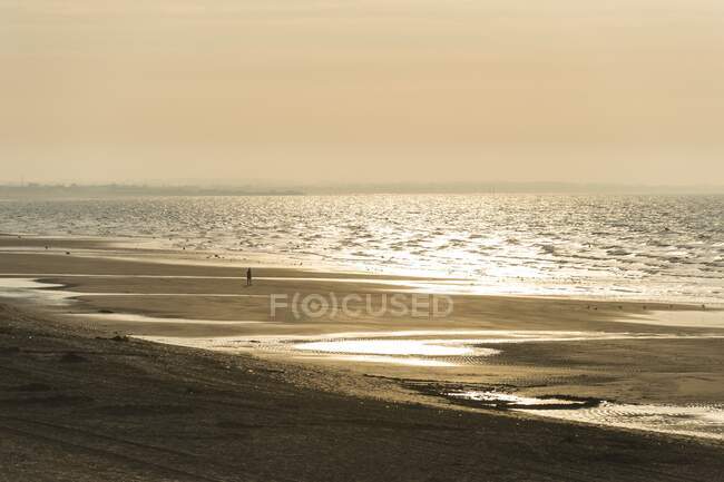Francia, Normandía, una persona caminando por la playa al atardecer - foto de stock