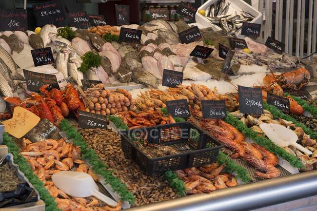 France, Normandy, fresh fishes and seefood displayed on a fish market — Stock Photo