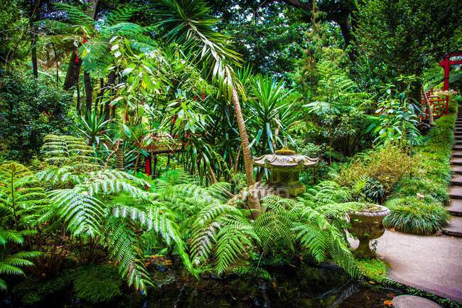 Madeira Island, Monte Palace, tropical Gardens — Stock Photo