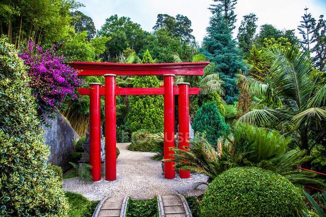 Остров Мадейра, Япония район Monte Palace Tropical Garden, torii — стоковое фото